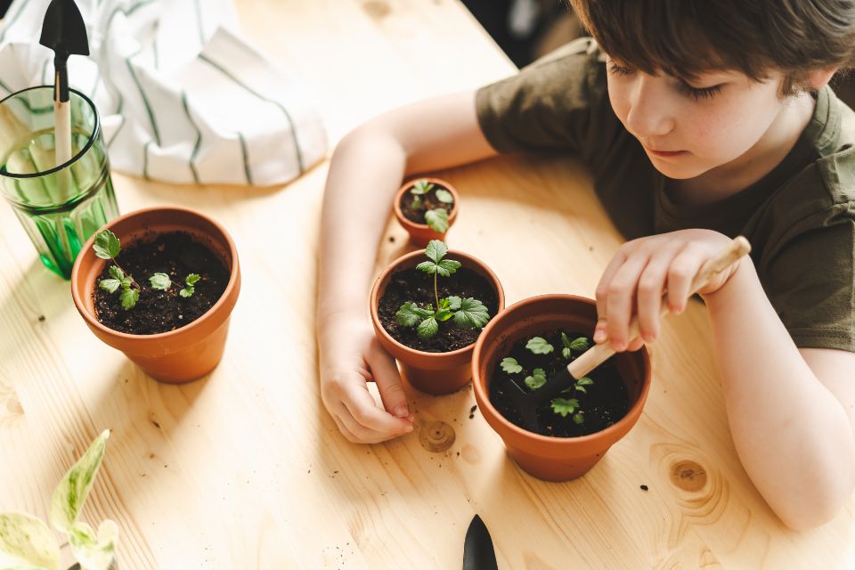 a child sitting at a table with two pots of plants