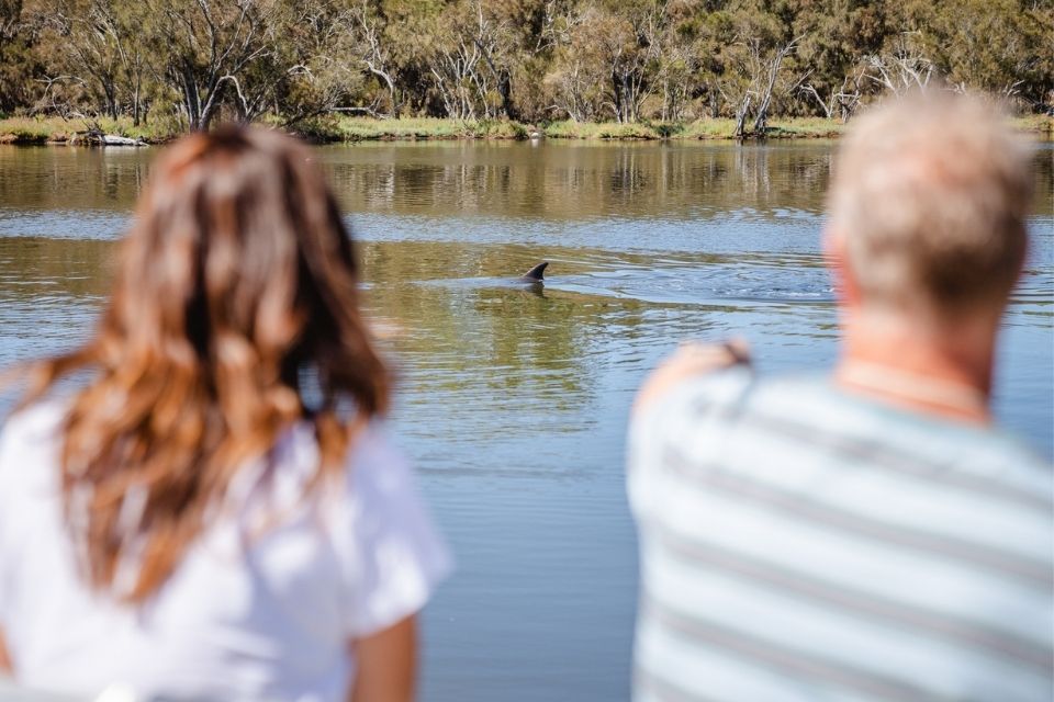 Dophin spotting at Serpentine River Mandurah