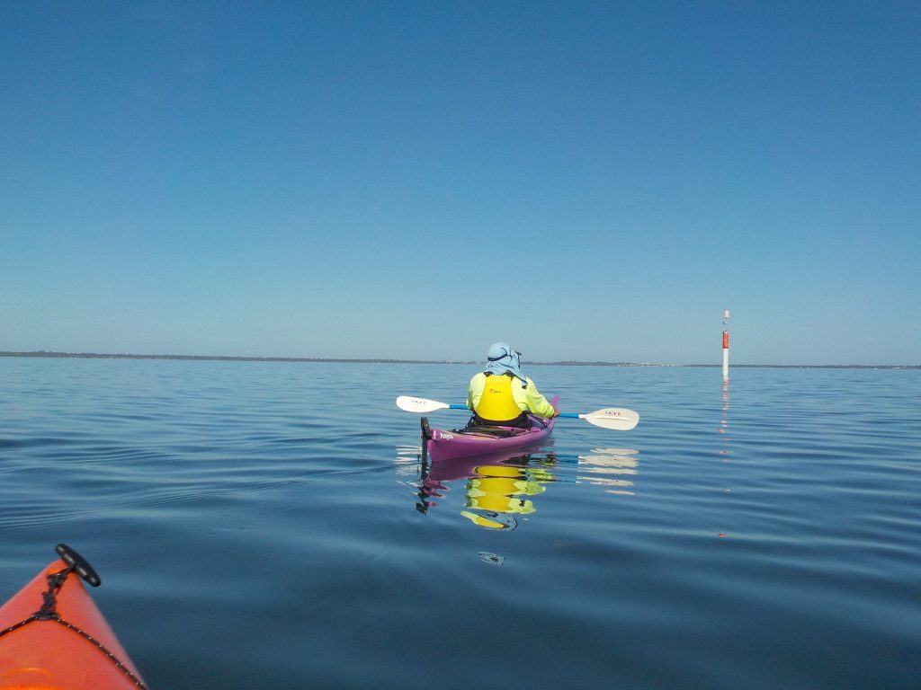 Kayaking on the Mandurah estuary