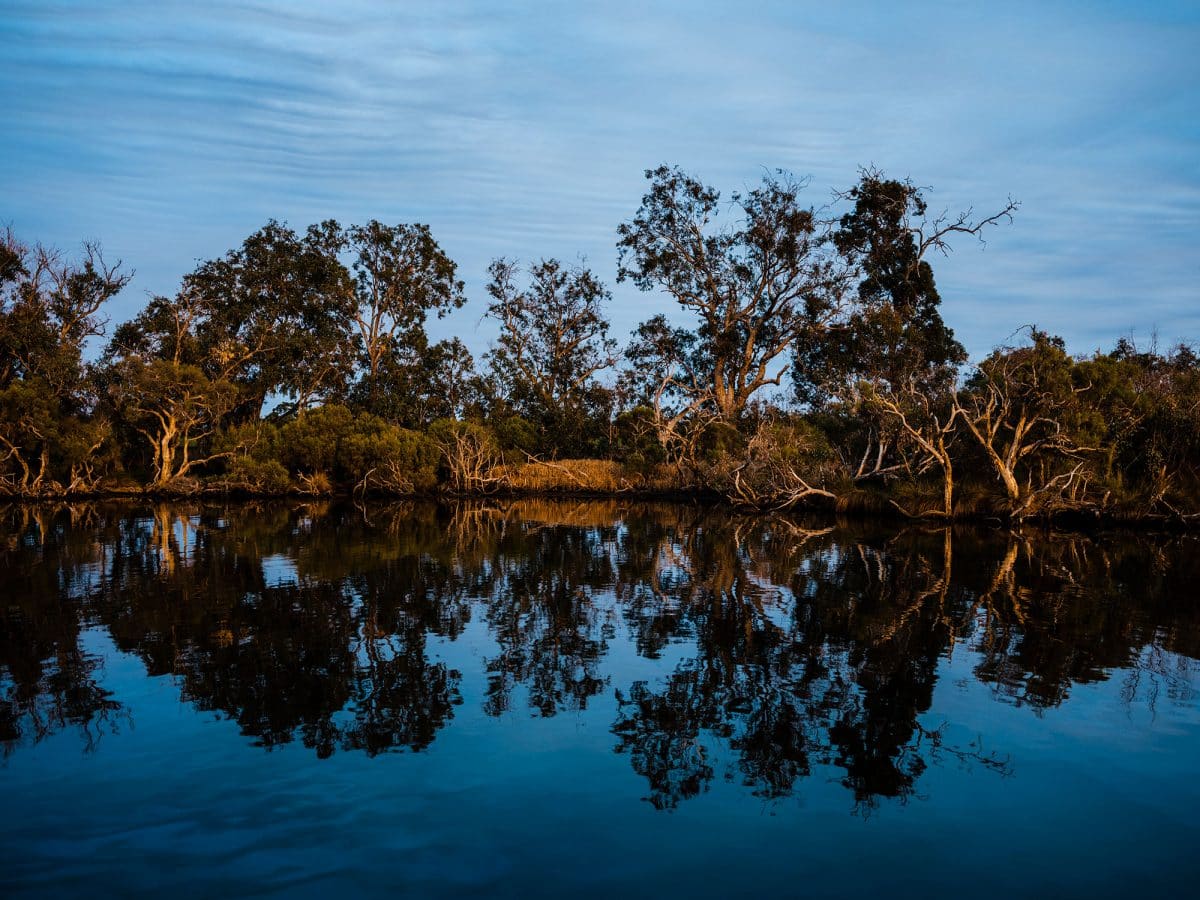 Murray River Pinjarra