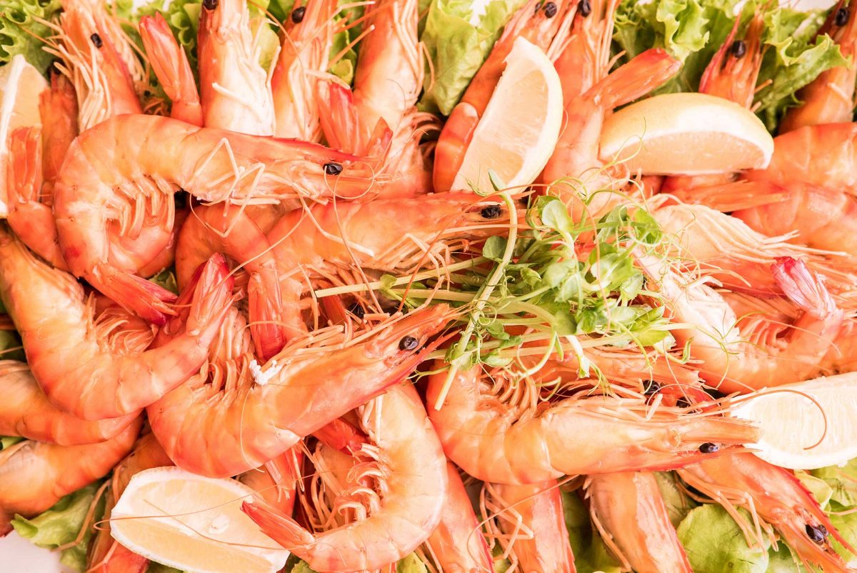 Mandurah is the place to Savour freshly-caught seafood