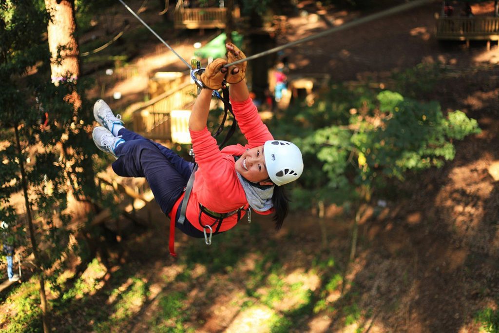 Trees Adventure Dwellingup