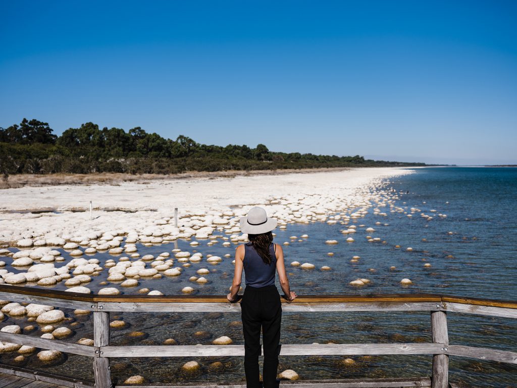 Lake Clifton Thrombolites