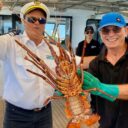 Mandurah Cruises Lobster Catching Tour