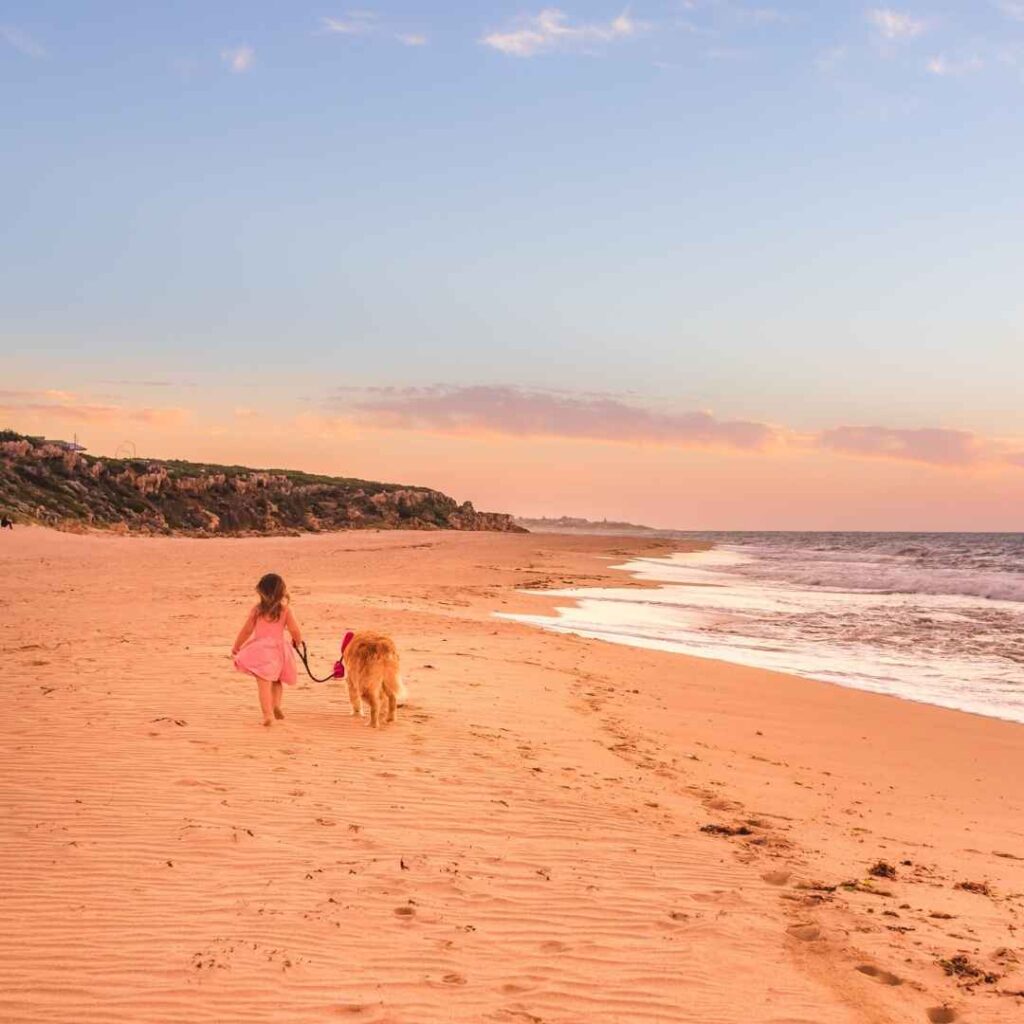 Worried about leaving the pooch at home whilst you’re on holiday? With Mandurah’s many pet-friendly accommodation options and fun activities, now you don’t have to! Bring your four-legged companion on the holiday with you.