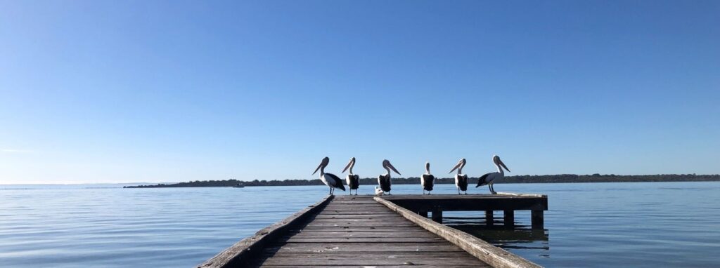 There’s so much to love about Winter in Mandurah! Mandurah is here to showcase the best activities this Winter for each and everyone.