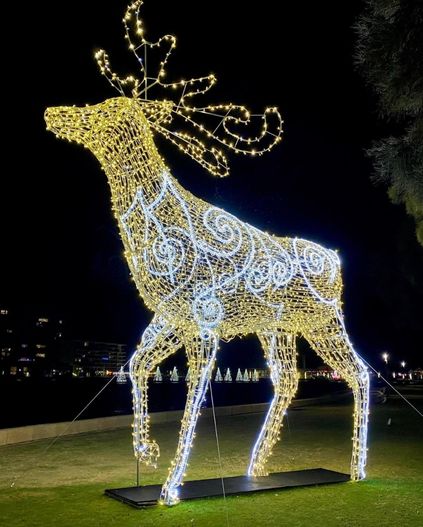 Mandurah Christmas Lights Trail 423x527 1