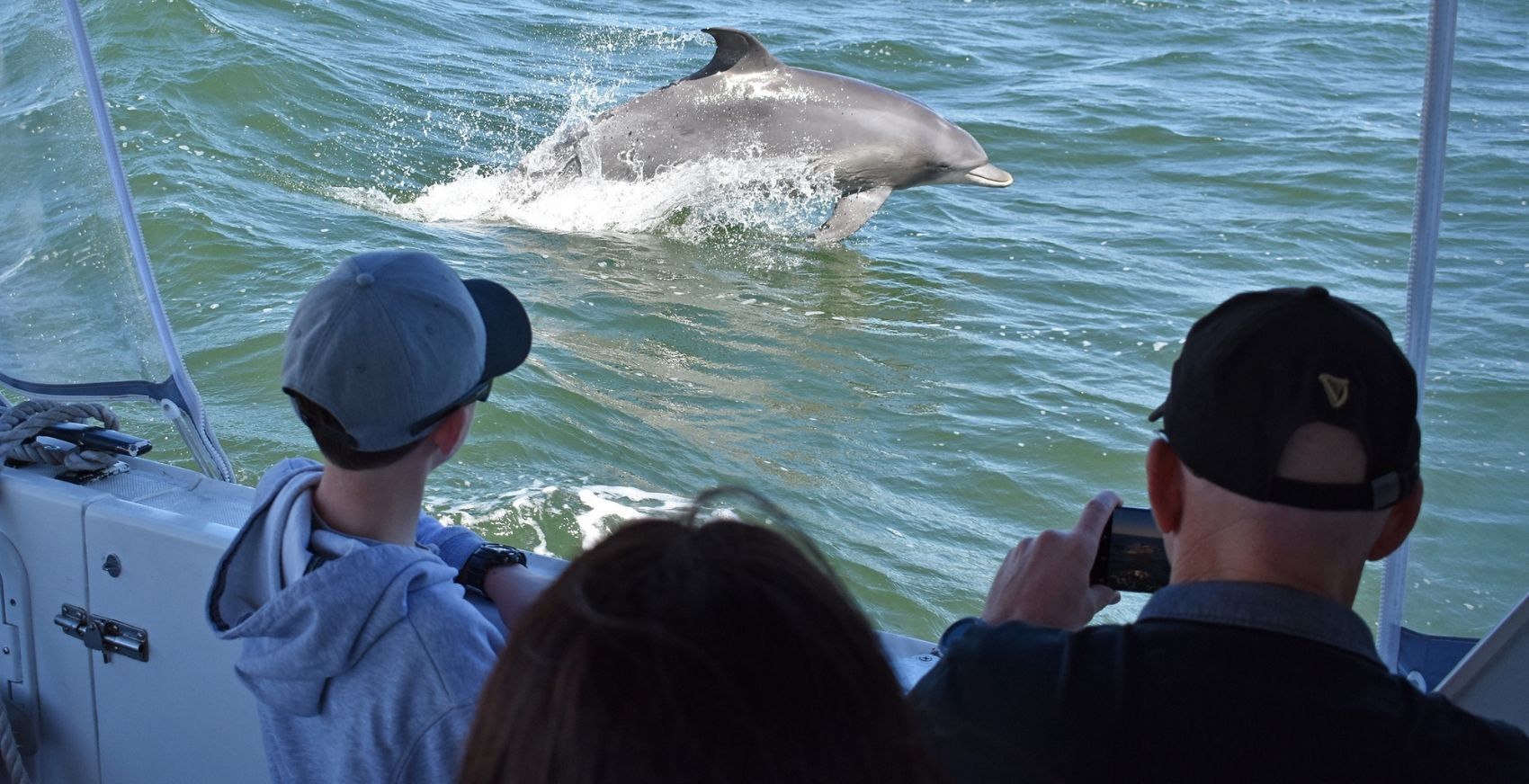 Dolphin Cruise Views Mandurah