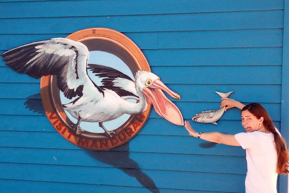 3D pelican - Mandurah Instagram Trail