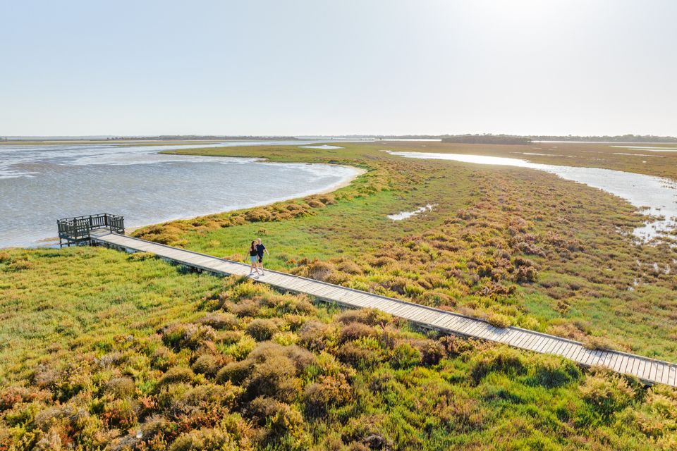 an aerial view of a person walking on a boardwalk over a marsh