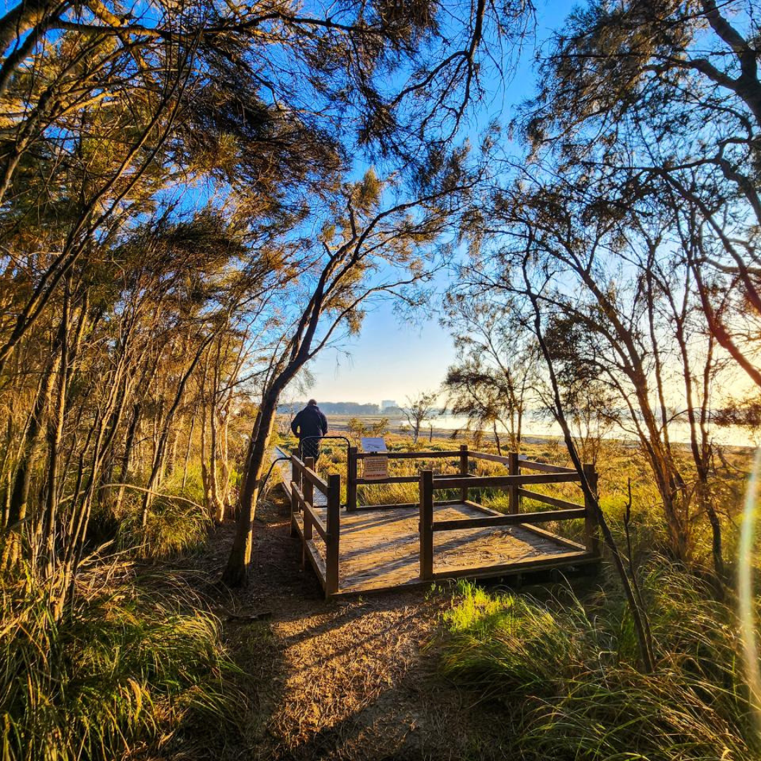 a person is standing on a wooden walkway in the middle of a wooded area