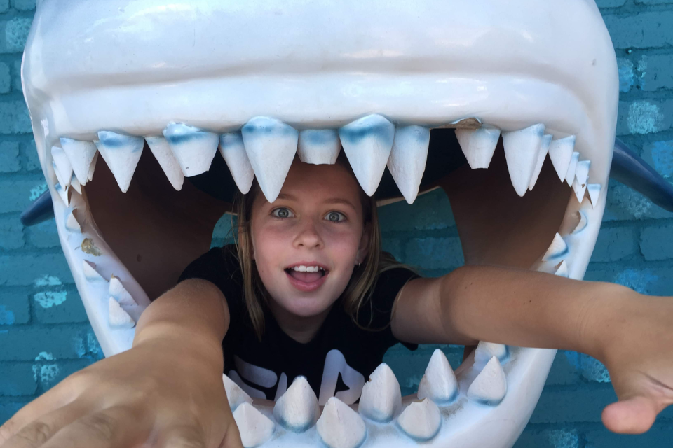 a girl looking out from the mouth of a fake shark